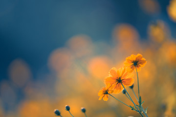 张杰的新歌《看月亮爬上来》歌词