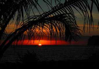 《远离尘嚣》说明了什么