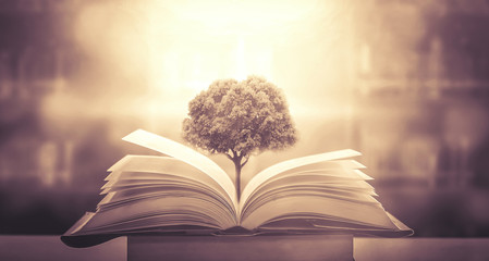 《远离尘嚣》说明了什么