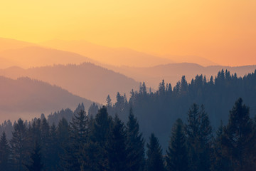 《远离尘嚣》说明了什么