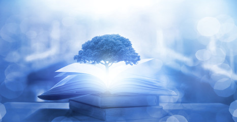 《远离尘嚣》说明了什么