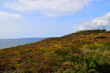 好看的日本鬼片