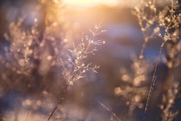 《远离尘嚣》说明了什么