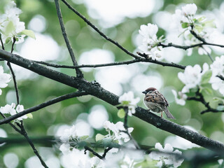 《远离尘嚣》说明了什么