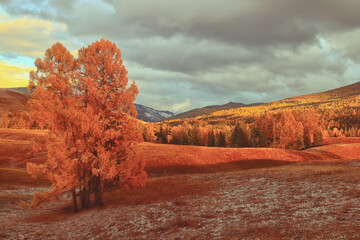 张杰的新歌《看月亮爬上来》歌词