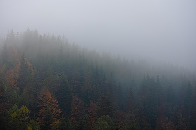 好看的日本鬼片