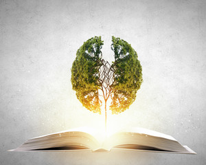 张杰的新歌《看月亮爬上来》歌词