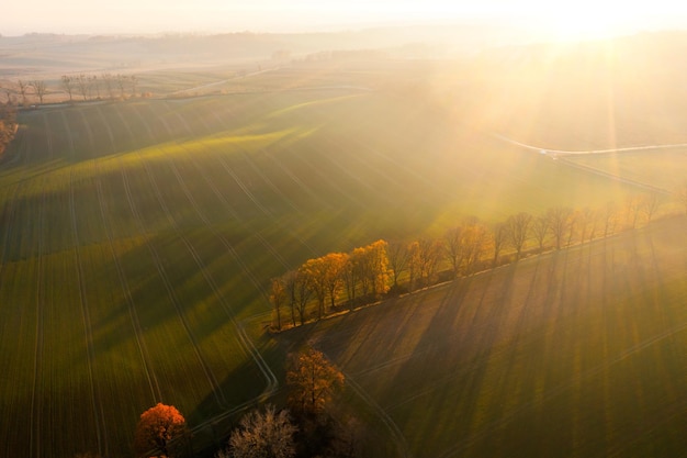 好看的日本鬼片